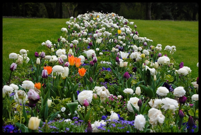 Le Parc Floral d&rsquo;Orléans