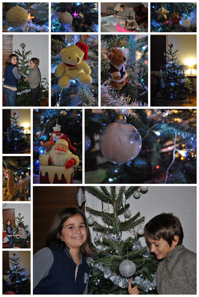 LE SAPIN