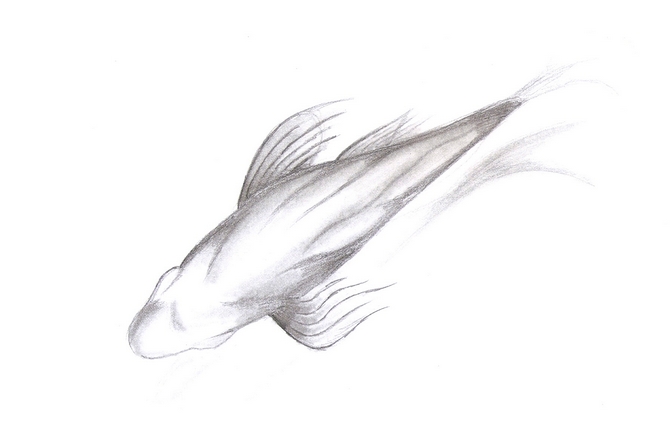 En attendant l&rsquo;Espagne, Lucas dessine…
