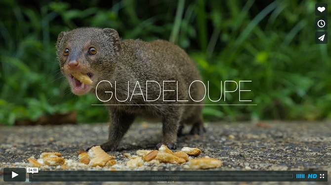 Guadeloupe