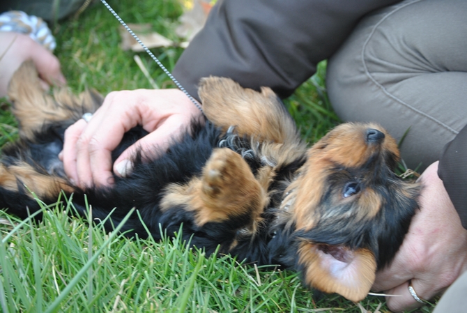 DSC_9872