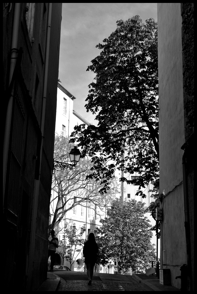 DSC_4329B