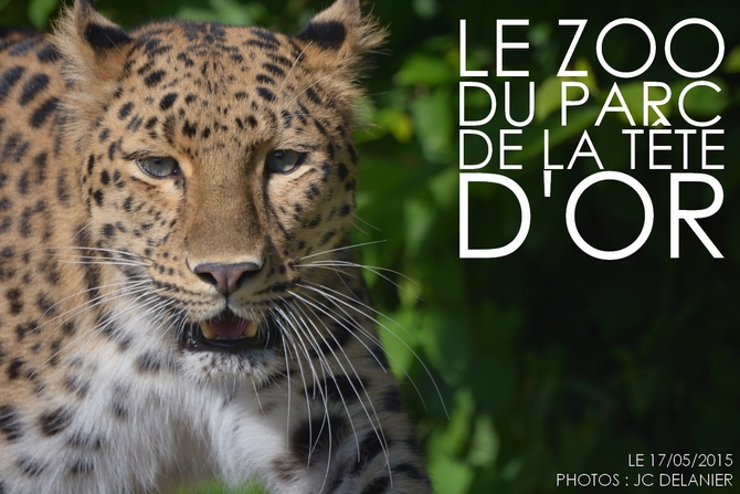 JCD_0485