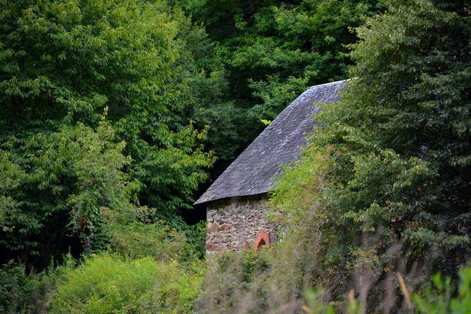 DSC_1720
