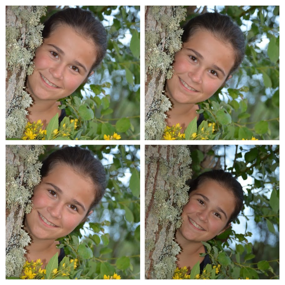 DSC_1545-COLLAGE