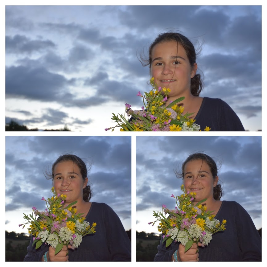 DSC_1635-COLLAGE