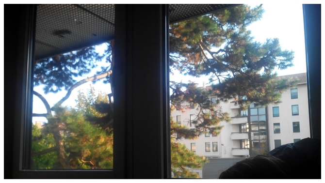 VUE DE MA CHAMBRE