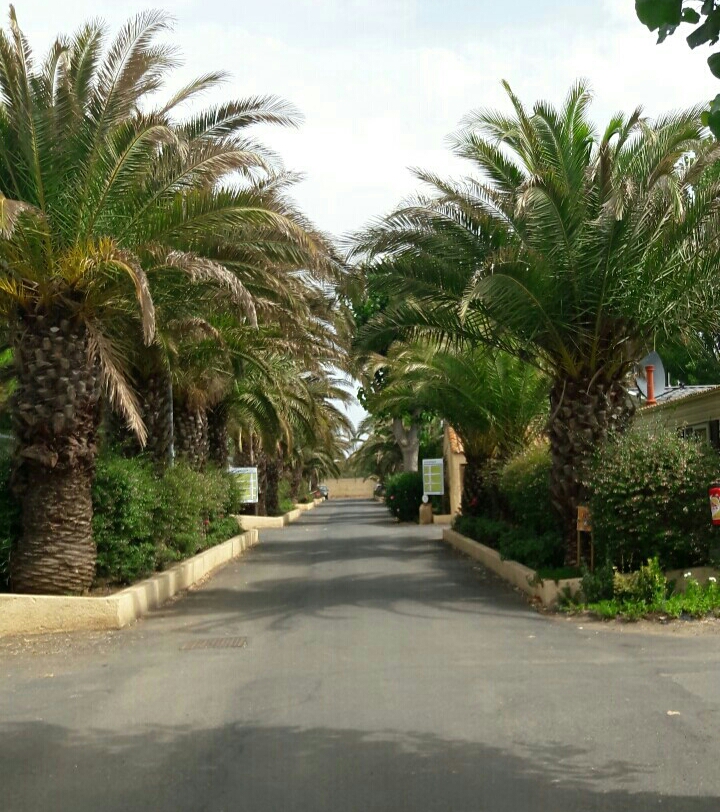 20170708_183503