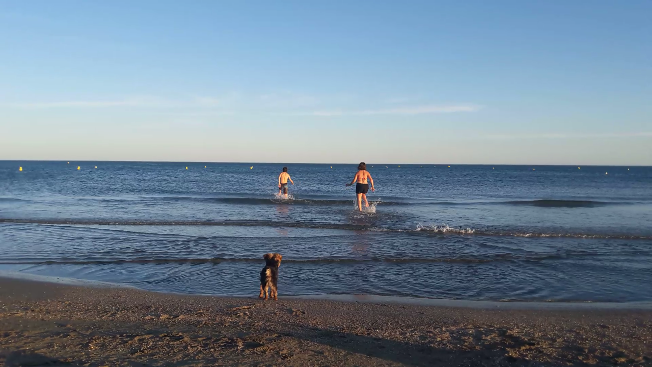 Samedi 15 juillet: Soirée sur la plage